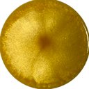 Sample of the Gold Yellow finish, Metallic marble system