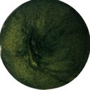 Sample of the Jungle Green finish, Metallic marble system