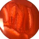 Sample of the Nacarat finish, Metallic marble system